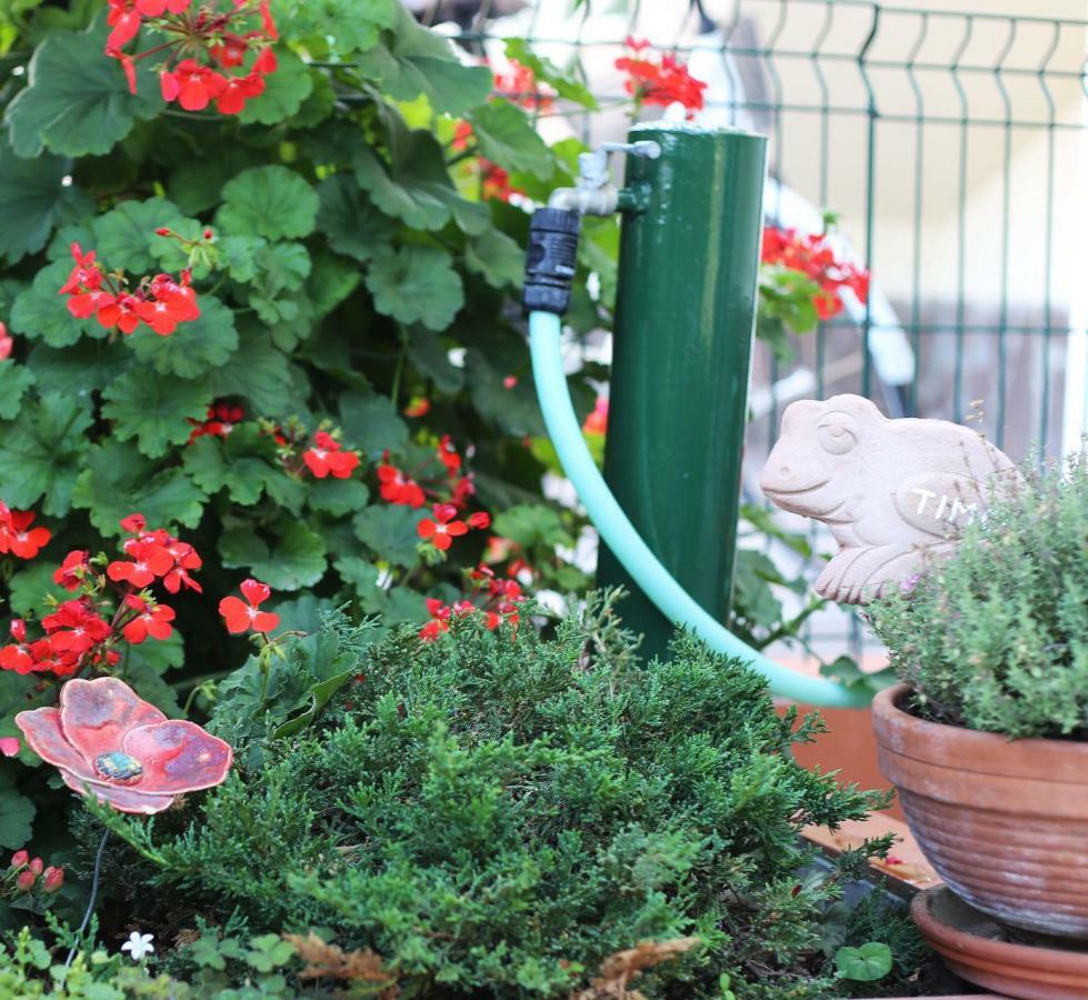 Liguria Home Ameglia Dış mekan fotoğraf